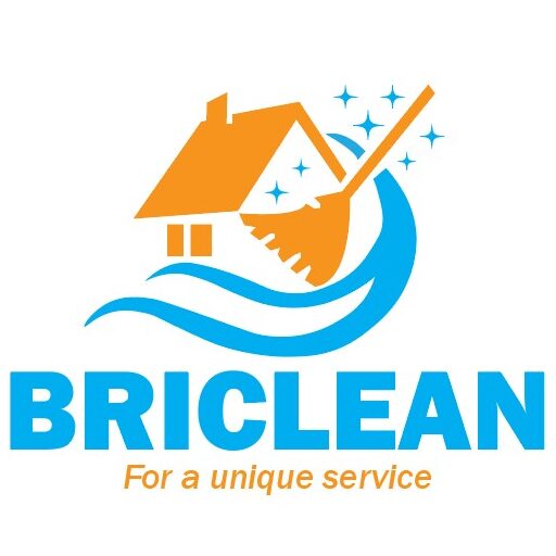 Briclean Services Limited